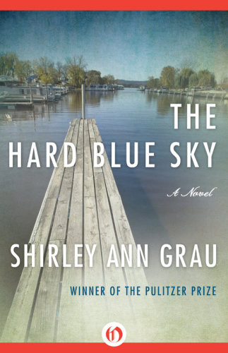 The Hard Blue Sky Grau Shirley Ann