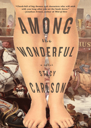 Among The Wonderful A Novel Carlson Stacy