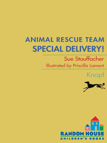 Special Delivery Stauffacher Sue