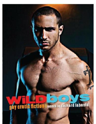 Wild Boys Labonte Richard Editor