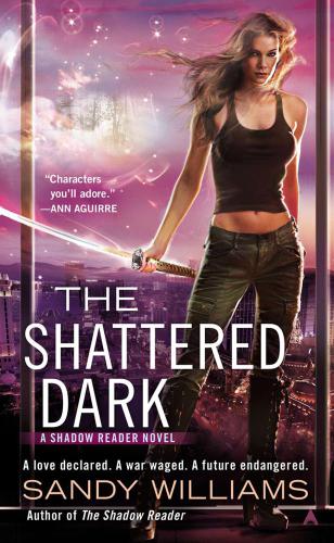 The Shattered Dark Williams Sandy