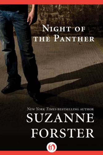 Night Of The Panther Forster Suzanne