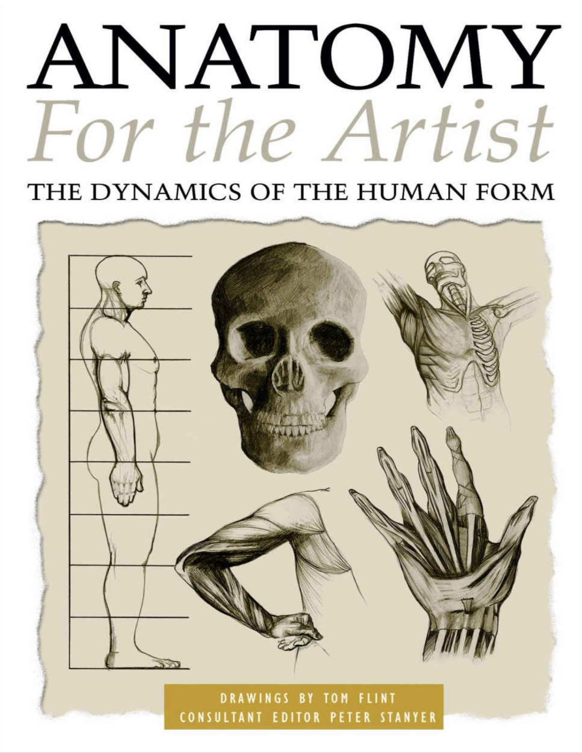 Anatomy For The Artist Peter Stanyer Tom Flint