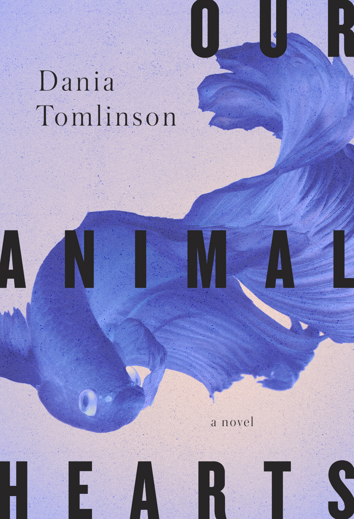 Our Animal Hearts Dania Tomlinson