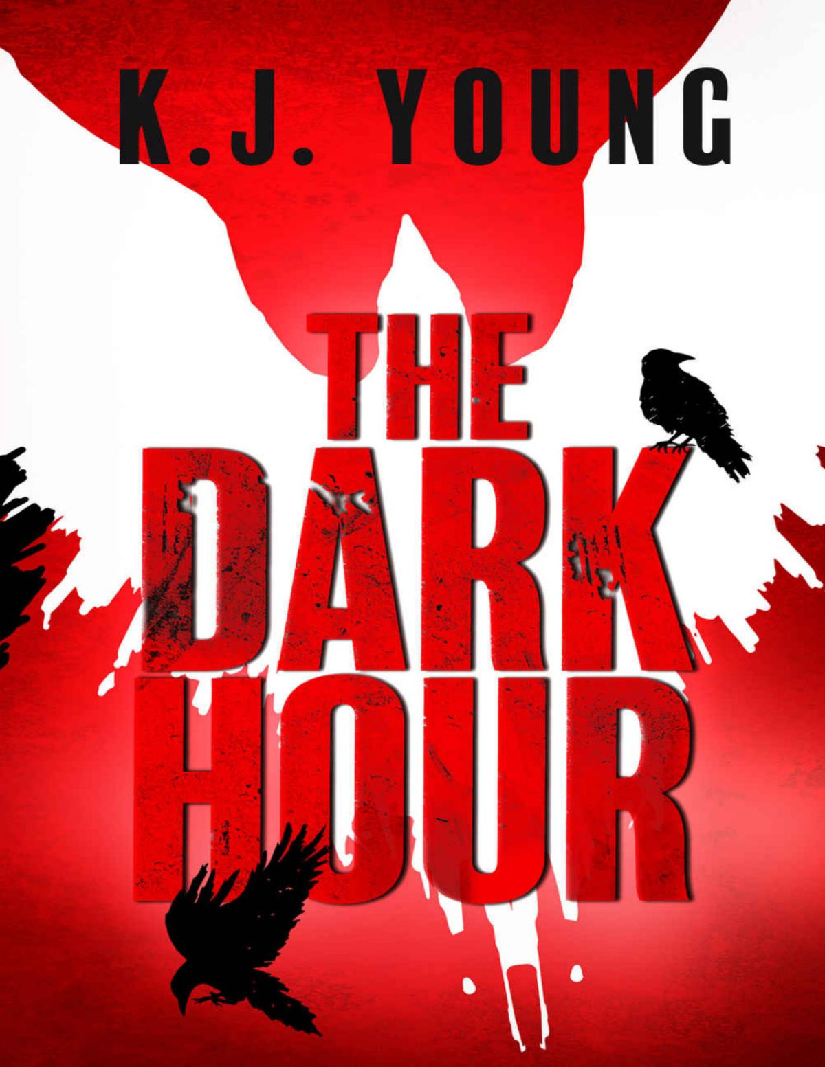 The Dark Hour Kj Young