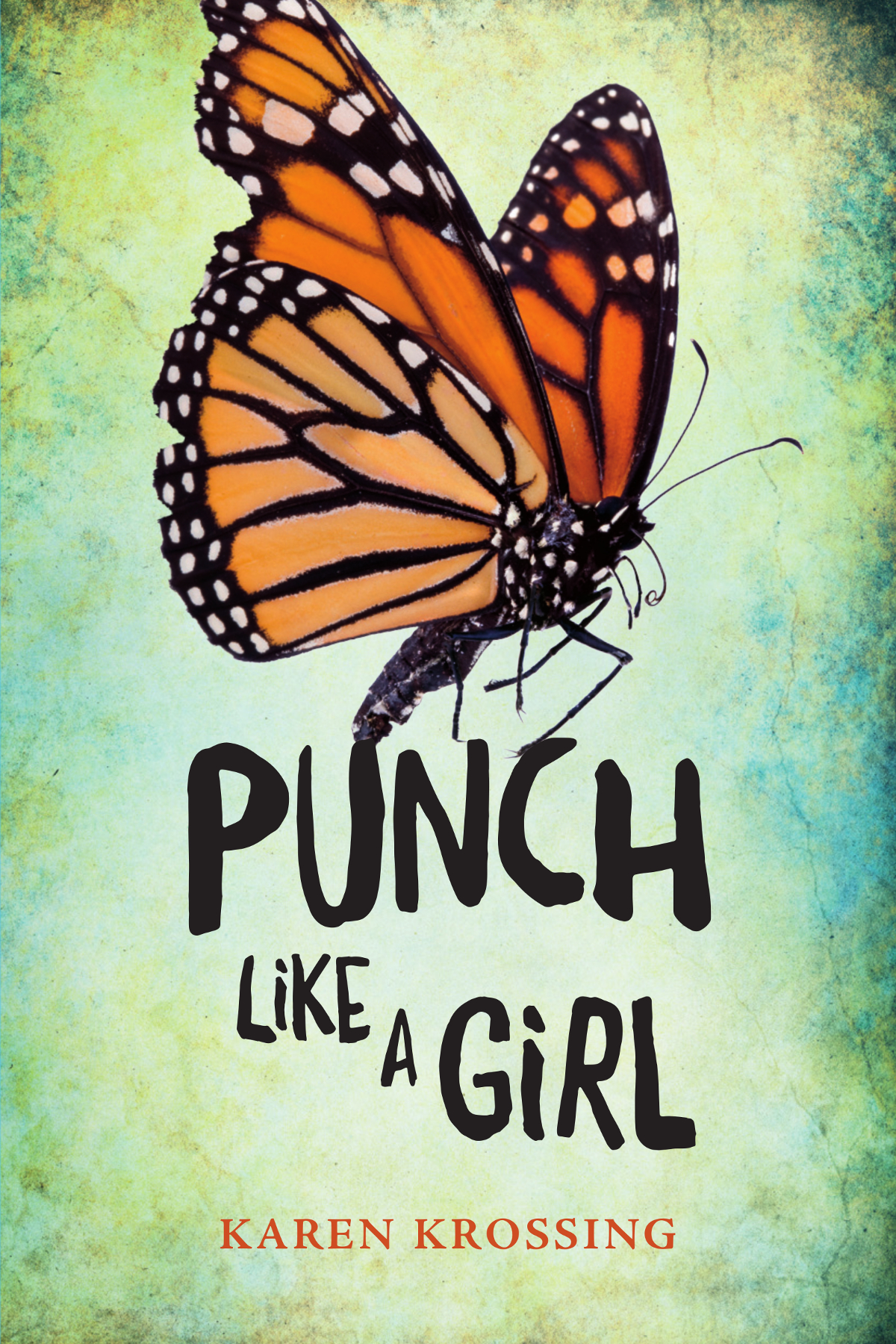 Punch Like A Girl Karen Krossing