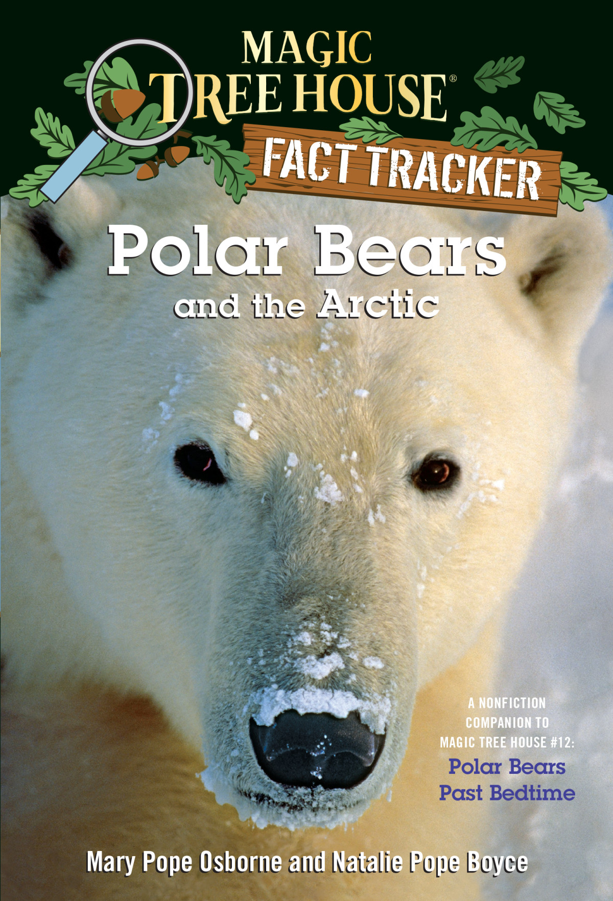 Polar Bears And The Arctic Mary Pope Osborne
