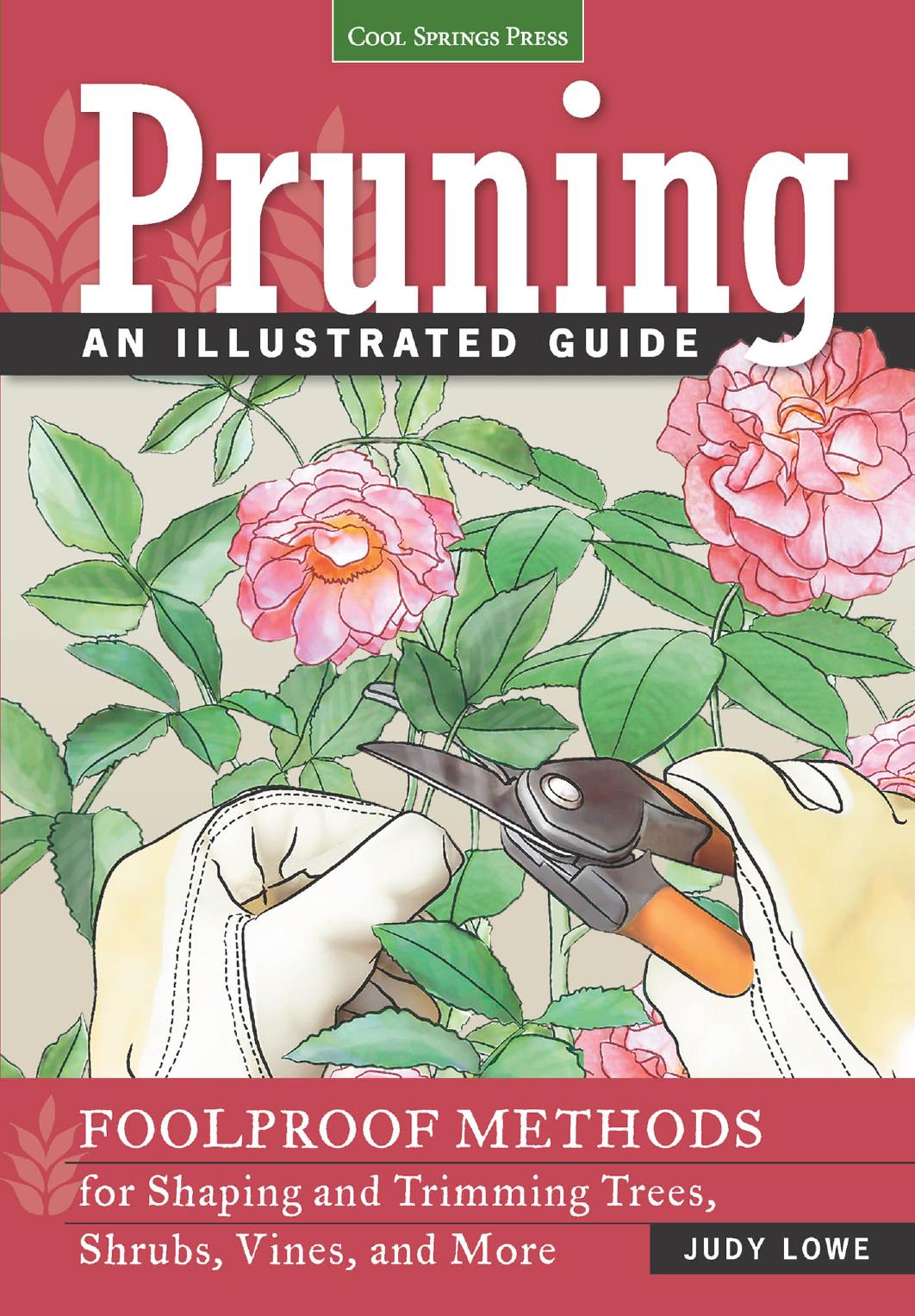 Pruning An Illustrated Guide Judy Lowe