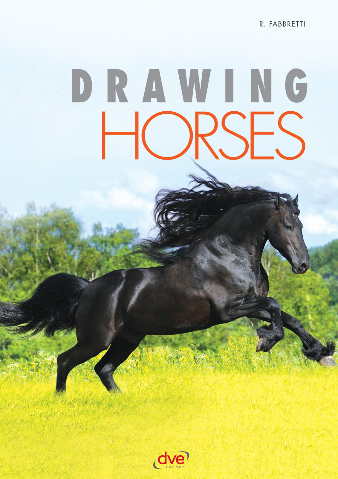 Drawing Horses Fabbretti R