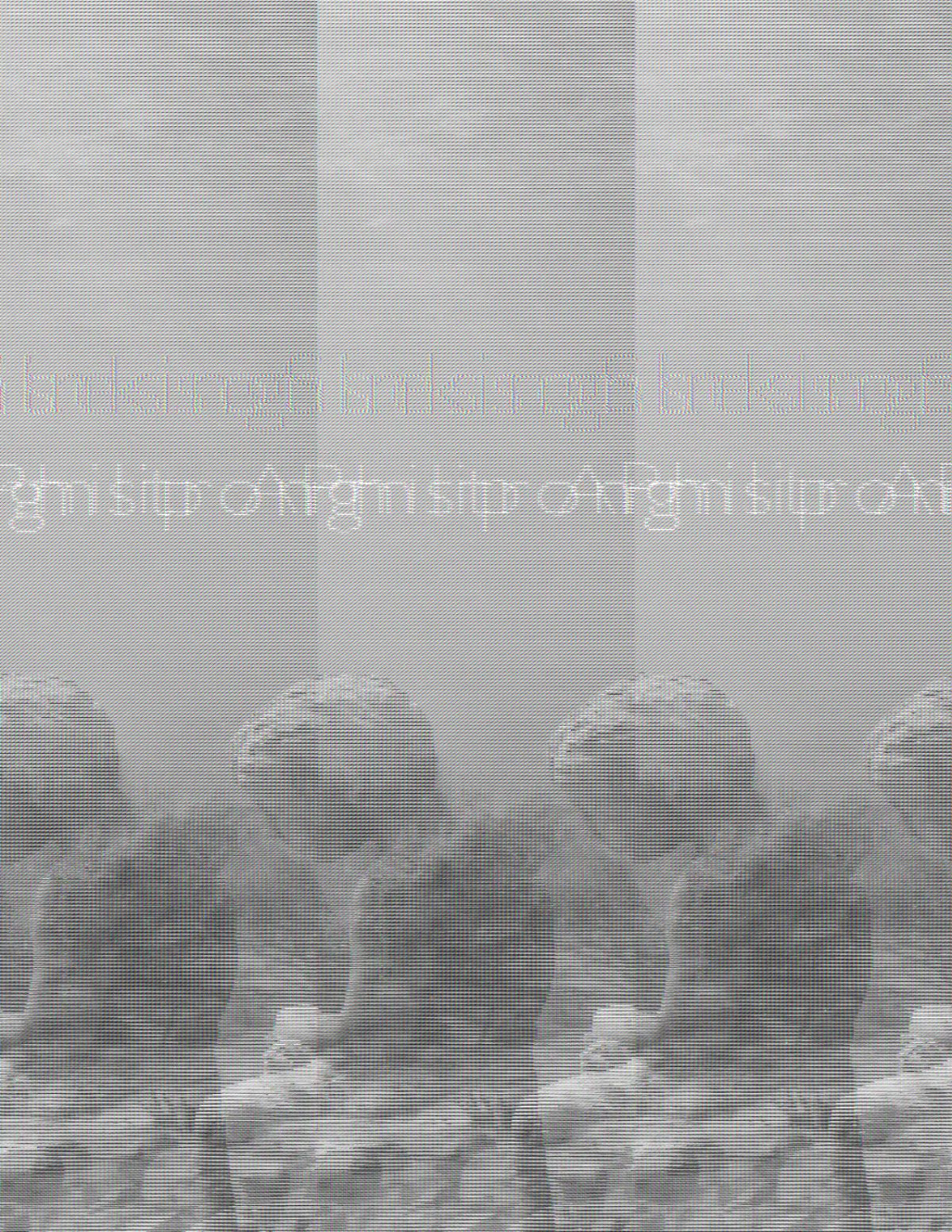 Sinking Lessons Philip Armstrong