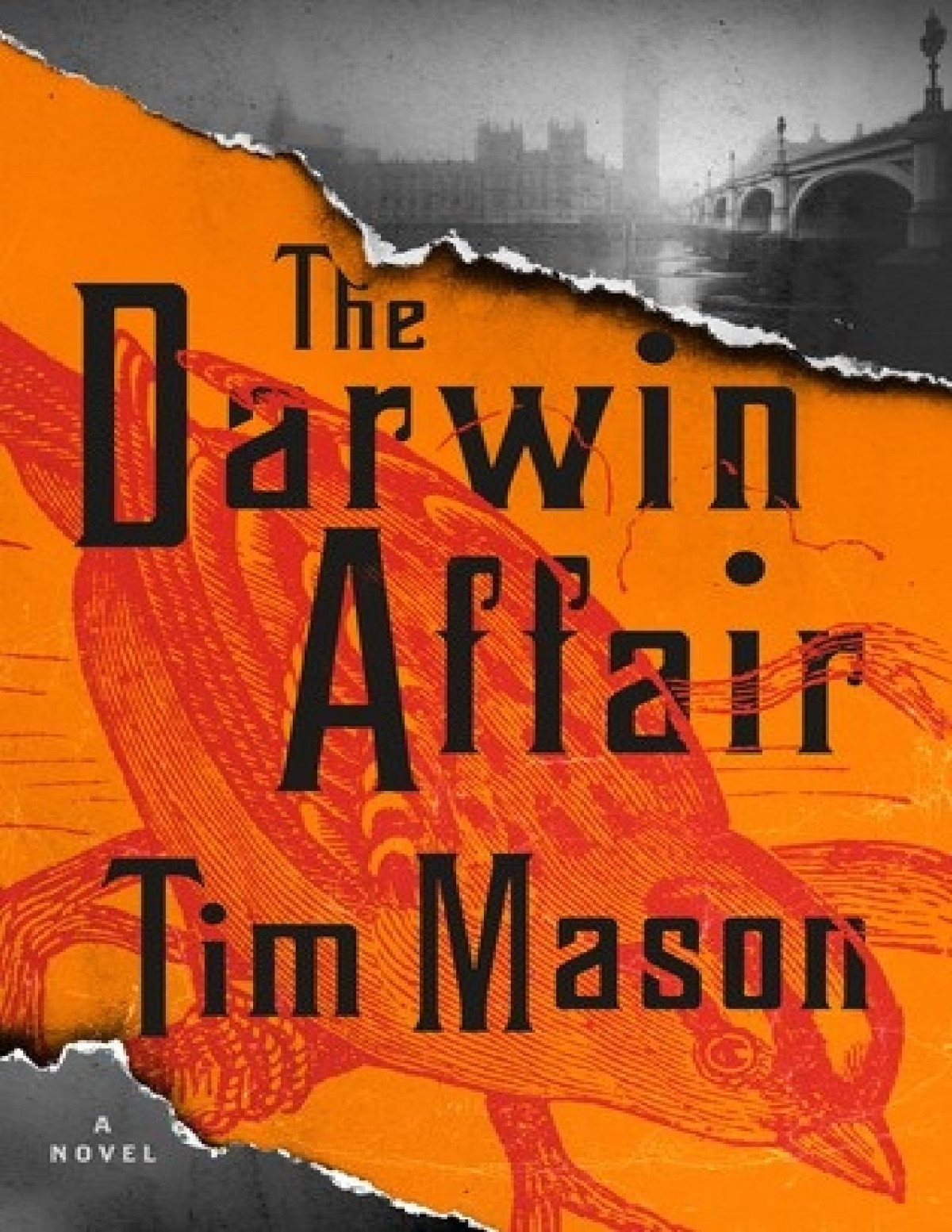 The Darwin Affair Tim Mason