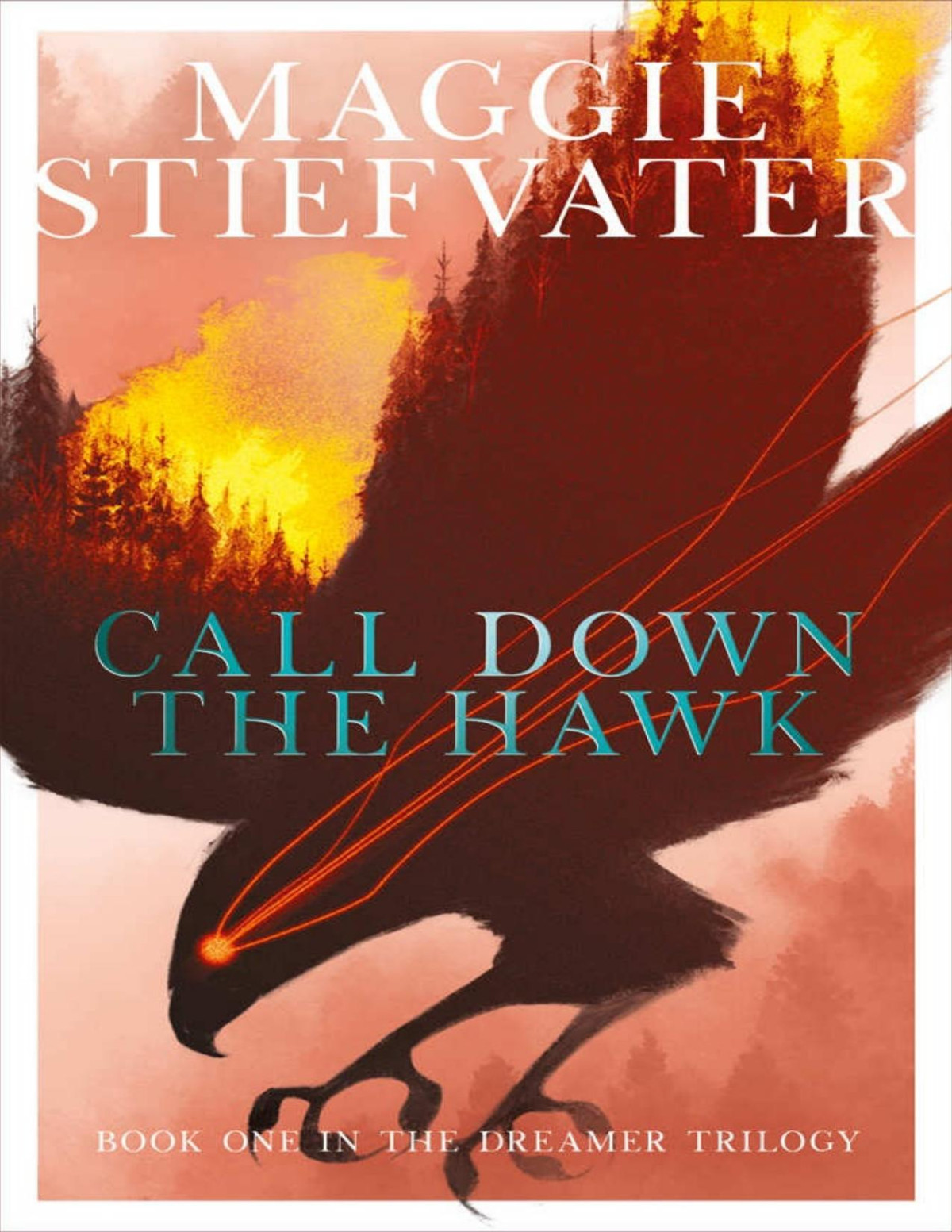 Call Down The Hawk Dreamer Trilogy Book 1 Stiefvater Maggie