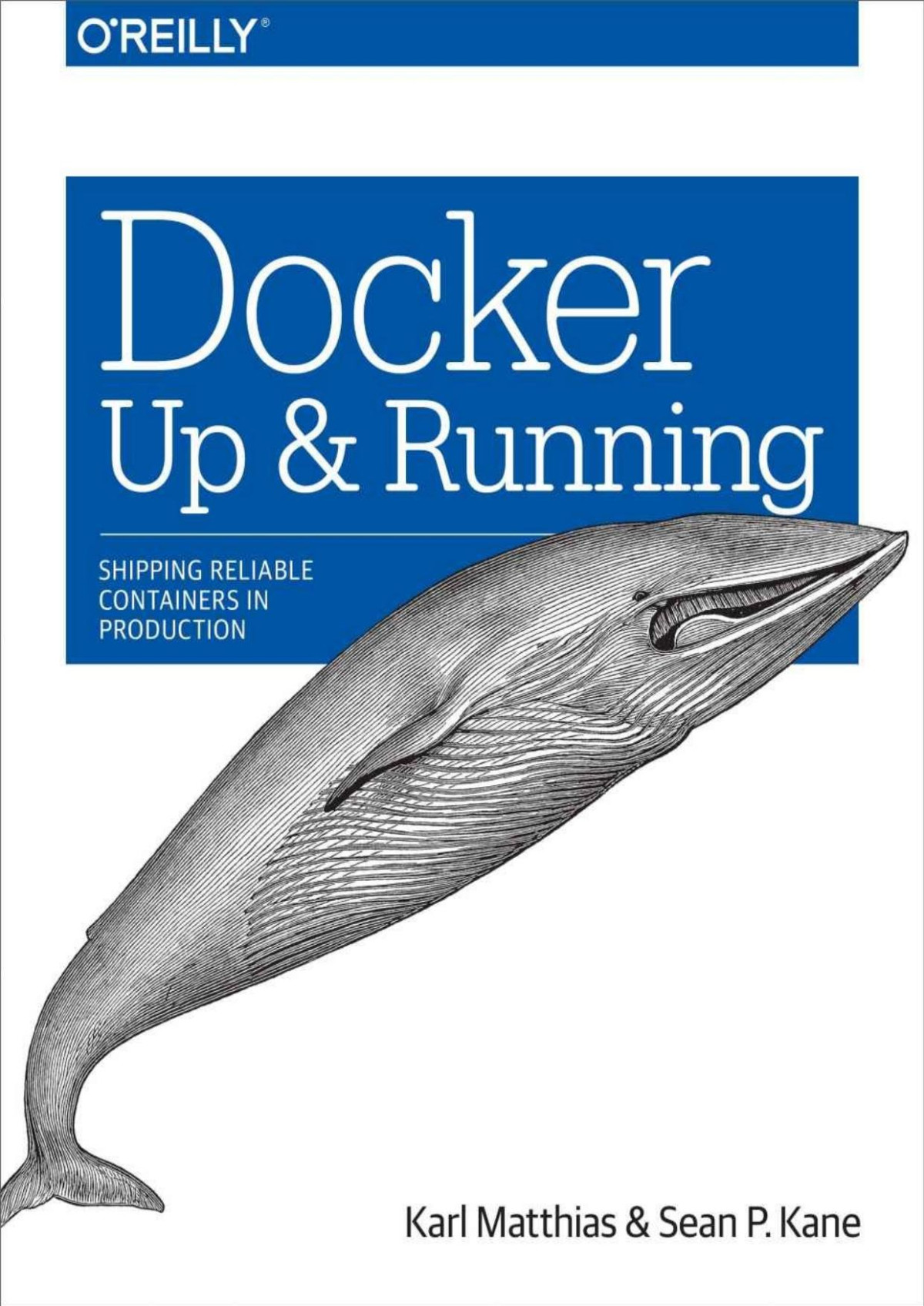 Docker Up And Running Karl Matthias Sean P Kane
