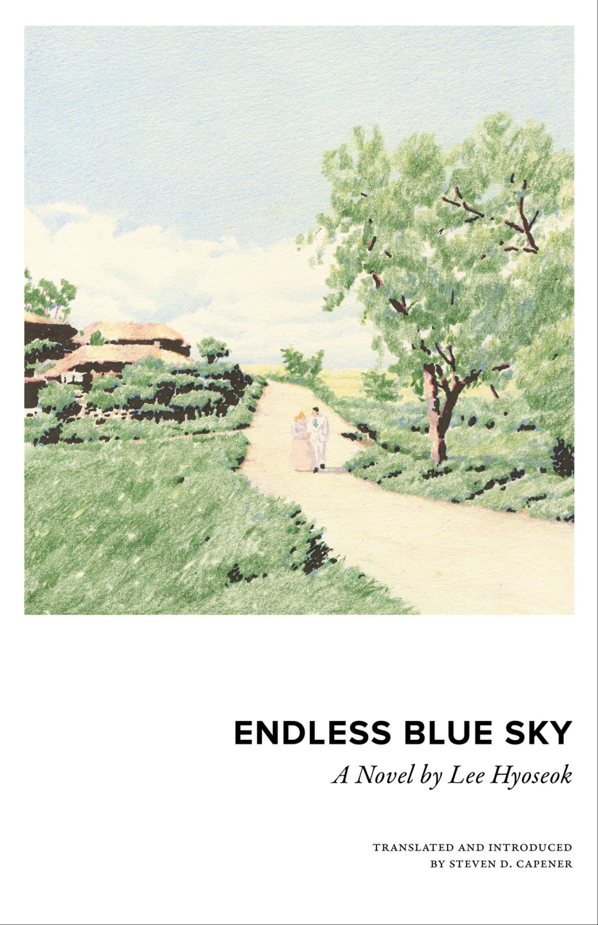 Endless Blue Sky A Novel Lee Hyoseok Steven D Capener Translation