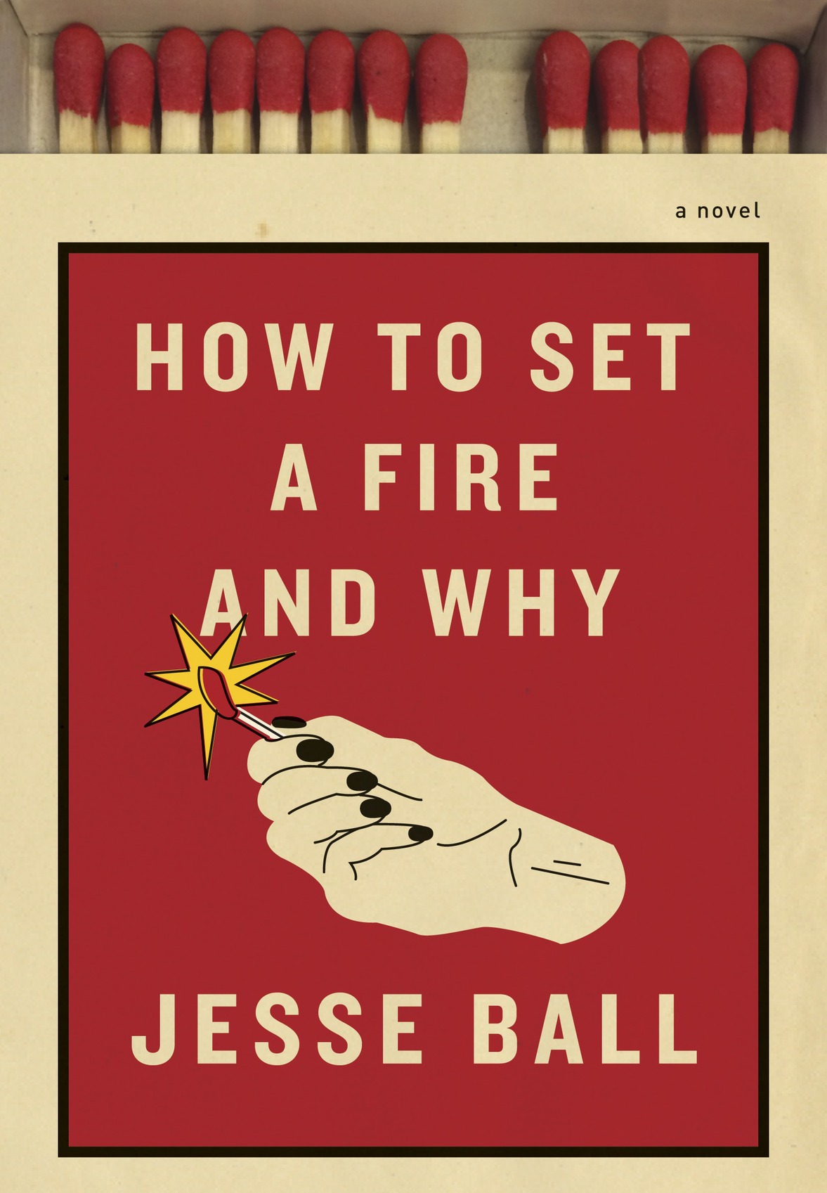 How To Set A Fire And Why Jesse Ball