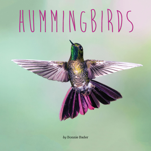 Hummingbirds Penguin Core Concepts Bonnie Bader