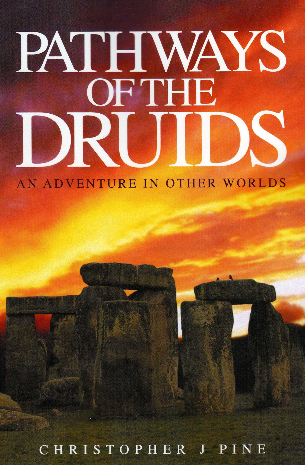 Pathways Of The Druids Christopher J Pine
