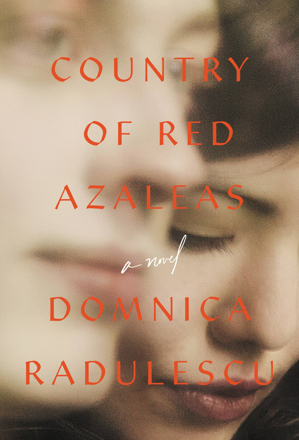 Country Of Red Azaleas Domnica Radulescu