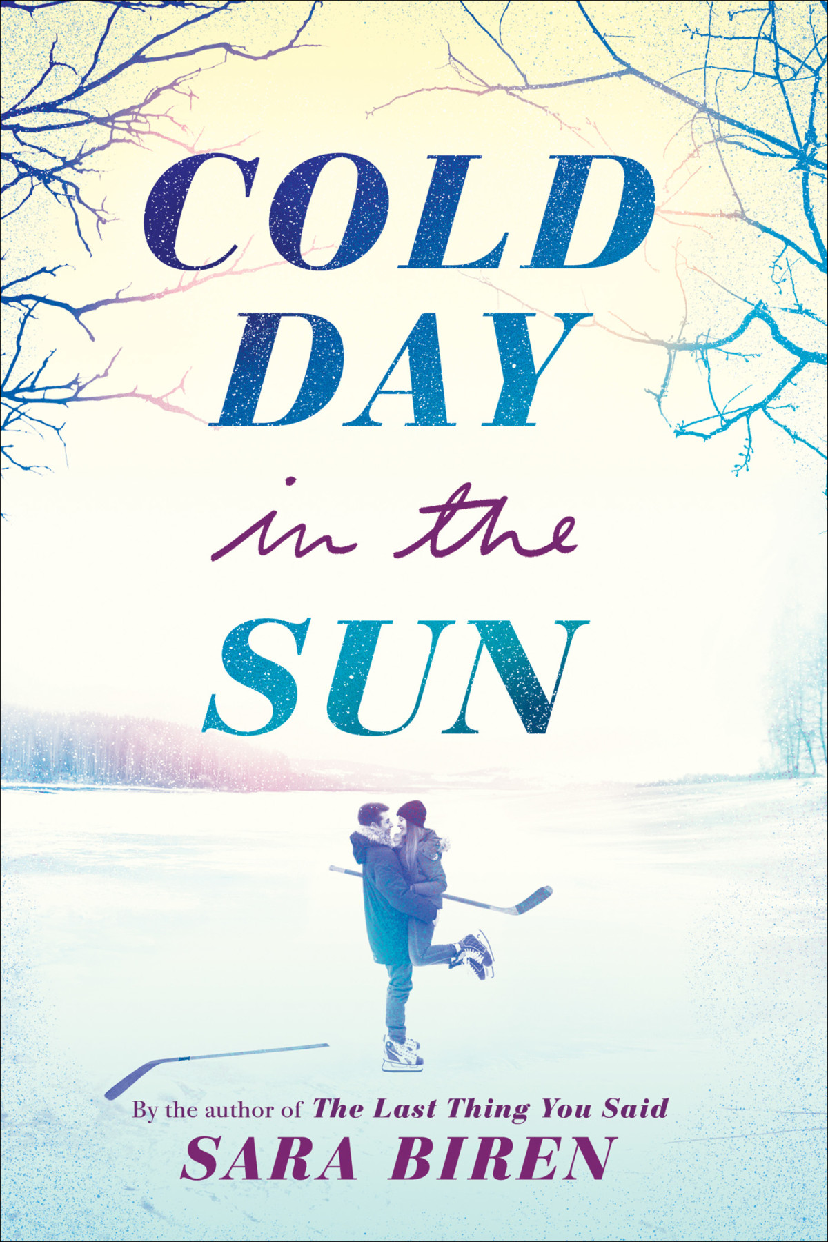 Cold Day In The Sun Sara Biren