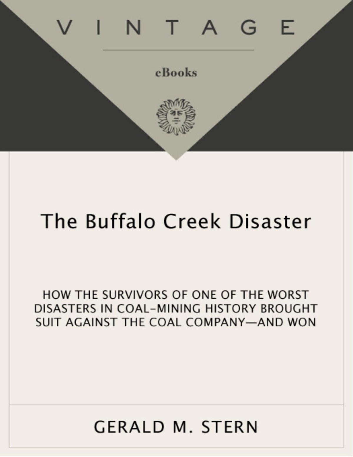 The Buffalo Creek Disaster Gerald M Stern