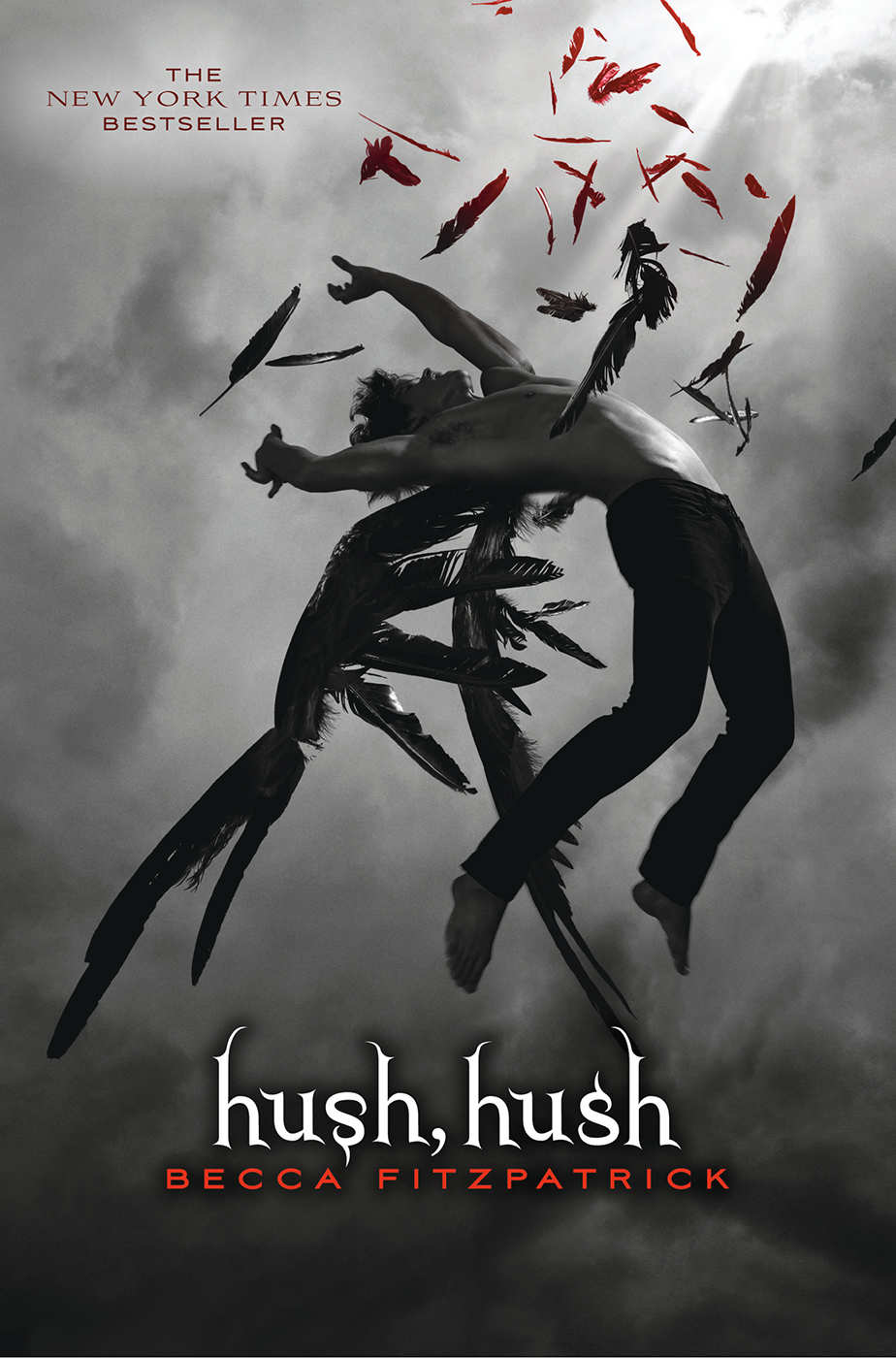 Hush Hush The Hush Hush Saga Book 1 Becca Fitzpatrick