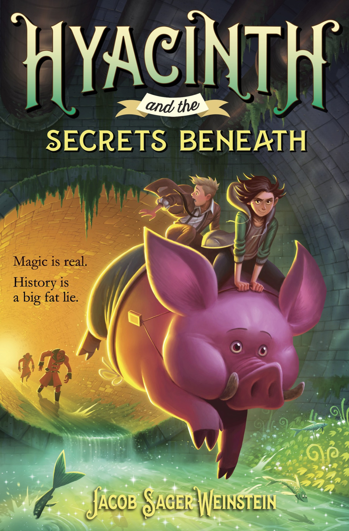 Hyacinth And The Secrets Beneath Jacob Sager Weinstein