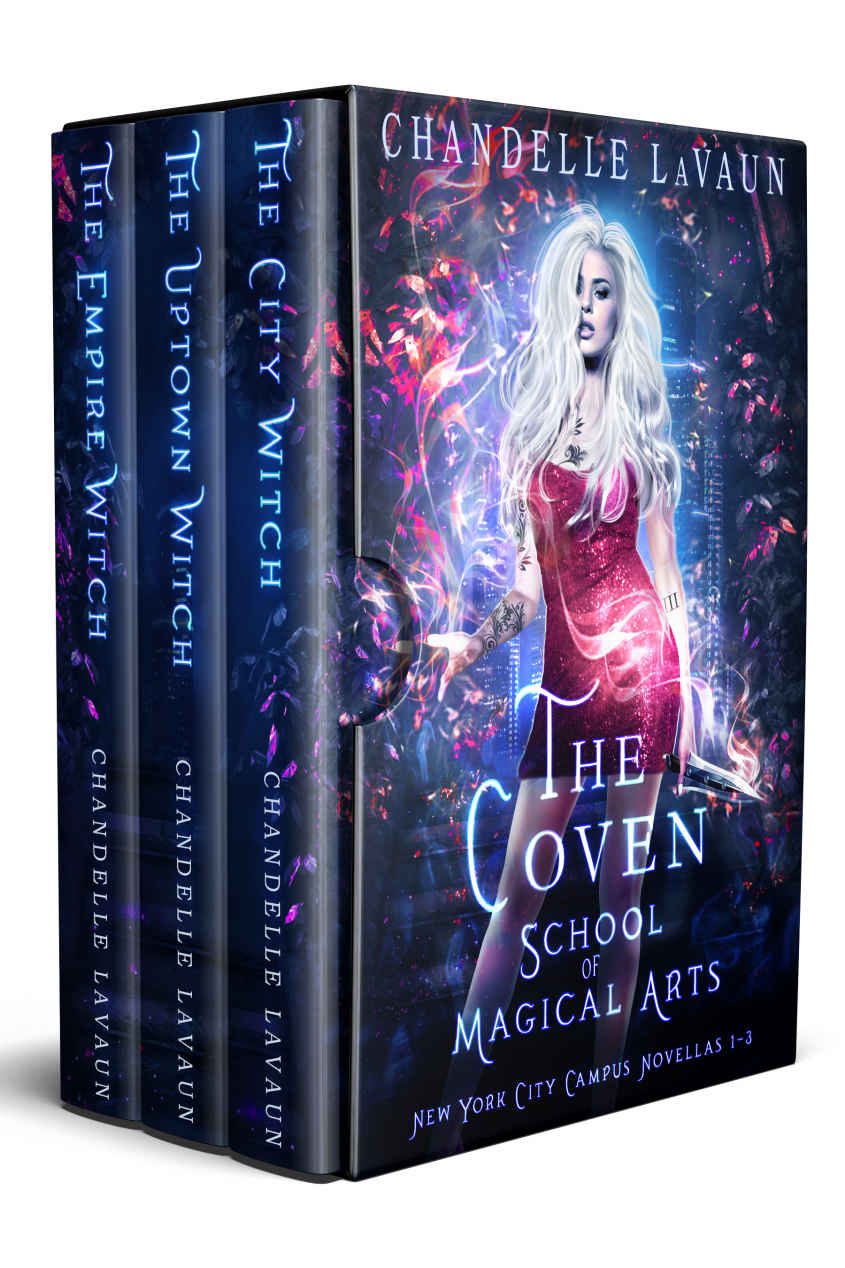 The Coven School Of Magical Arts Series Chandelle Lavaun