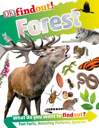 Dkfindout Forest Cat Hickey