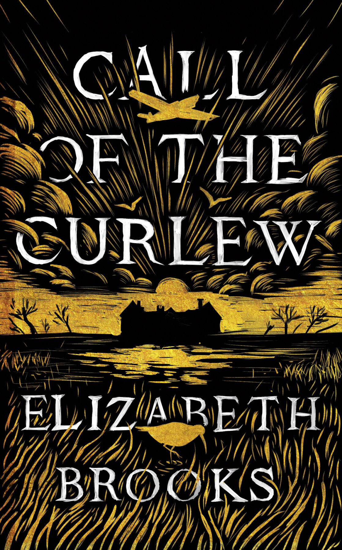 Call Of The Curlew Elizabeth Brooks