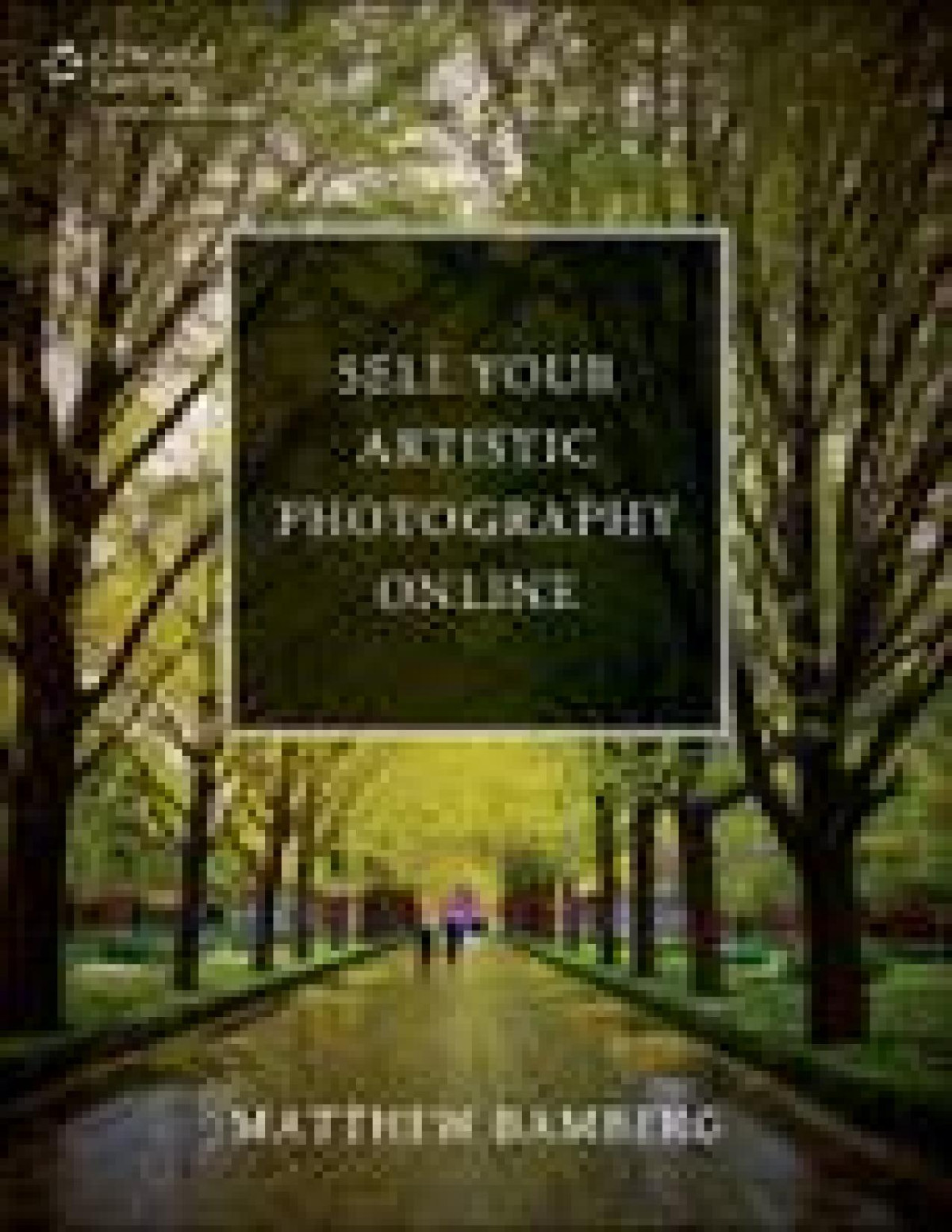 Sell Your Artistic Photography Online Matthew Bamberg