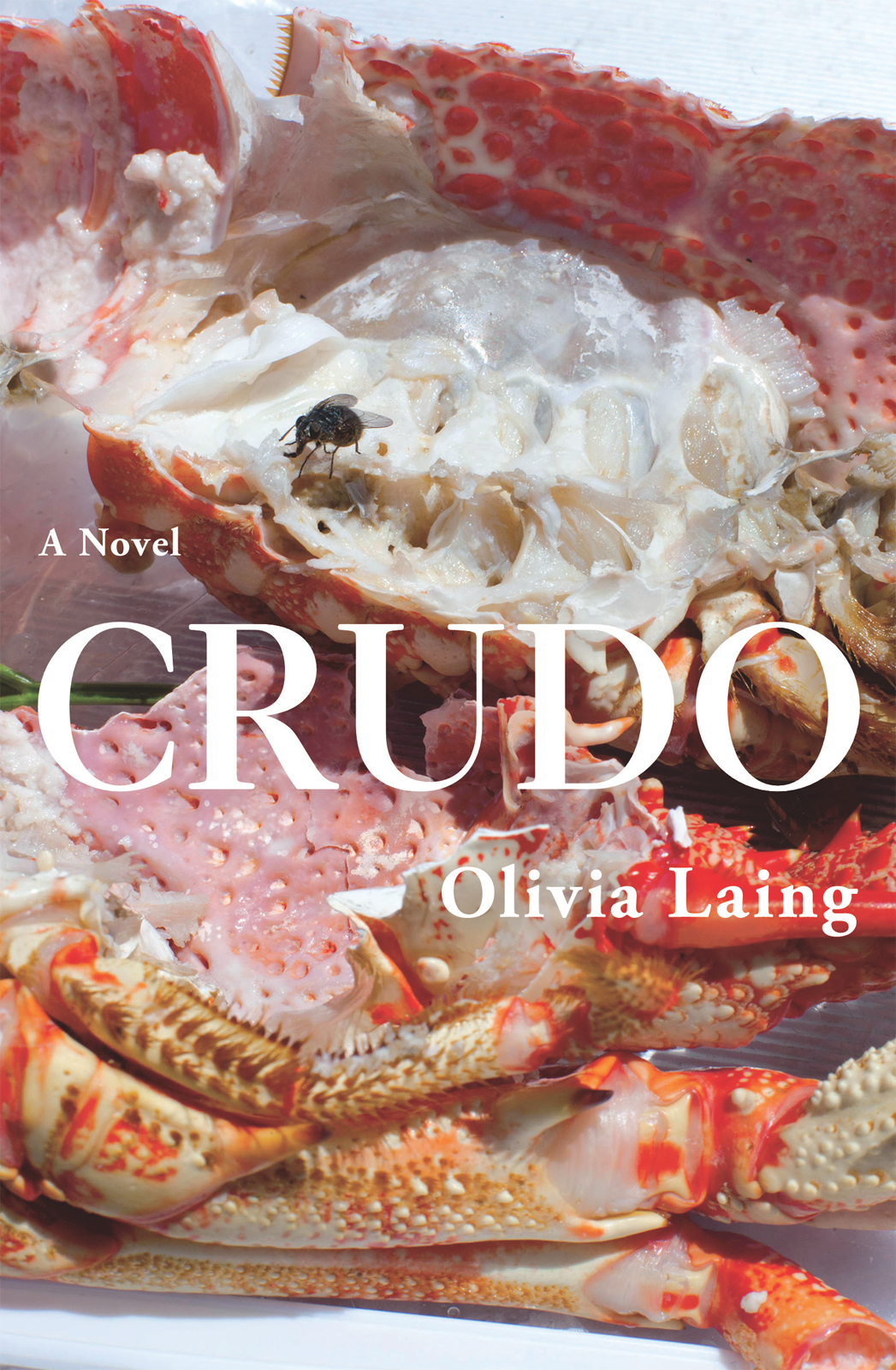 Crudo Olivia Laing