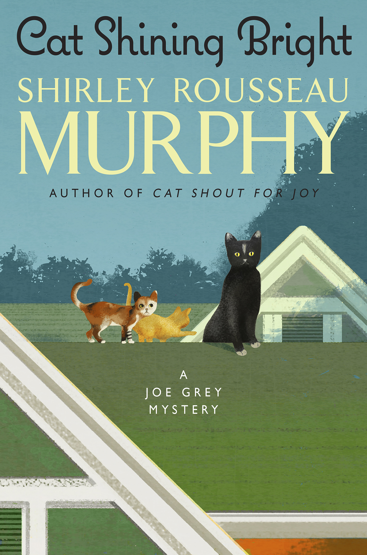 Cat Shining Bright Shirley Rousseau Murphy