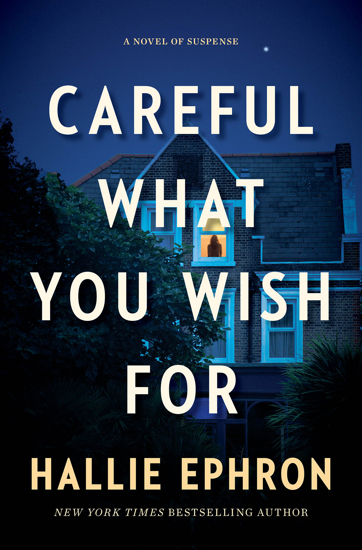 Careful What You Wish For Hallie Ephron