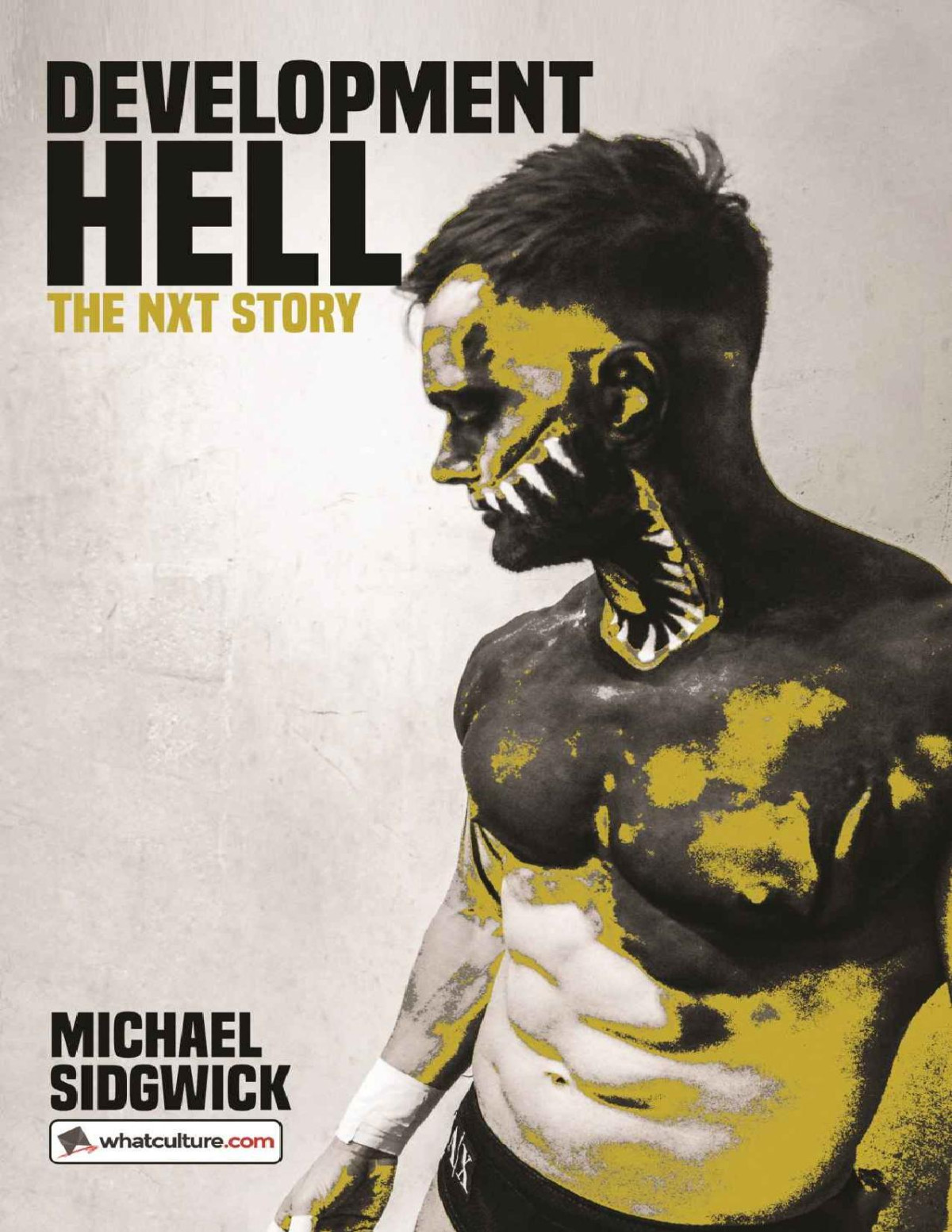 Development Hell The Nxt Story Michael Sidgwick