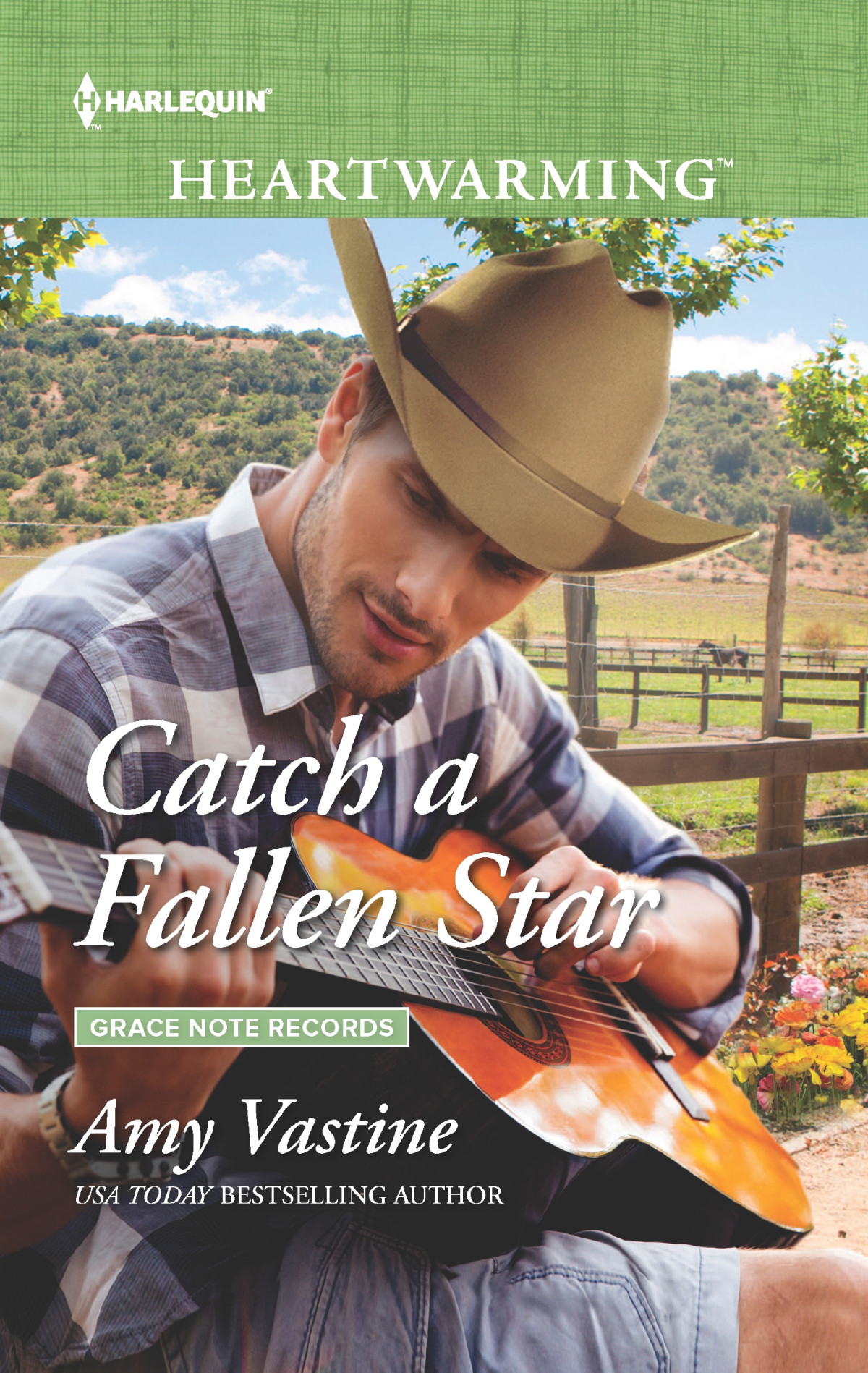 Catch A Fallen Star Amy Vastine