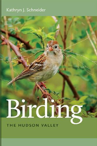 Birding The Hudson Valley Kathryn J Schneider