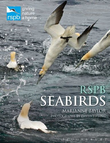 Rspb Seabirds Marianne Taylor