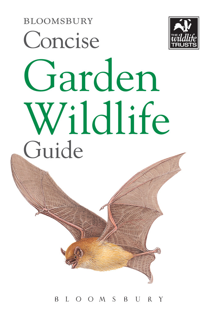 Concise Garden Wildlife Guide Bloomsbury Publishing