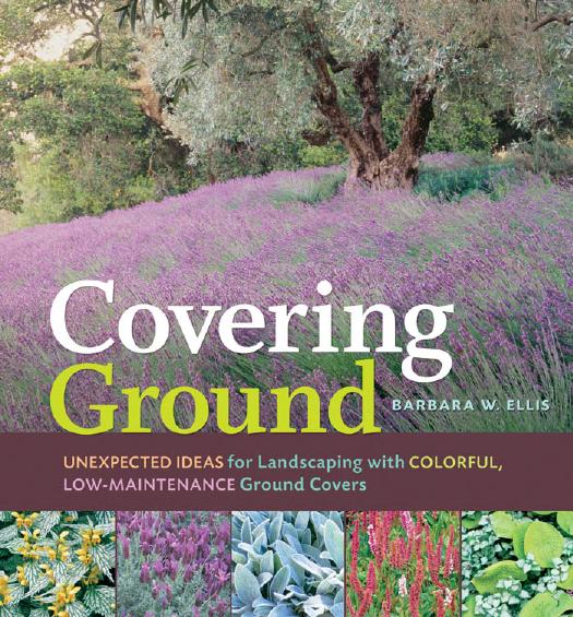 Covering Ground Unexpected Ideas For Landscaping With Colorful Lowmaintenance Ground Covers Barbara W Ellis