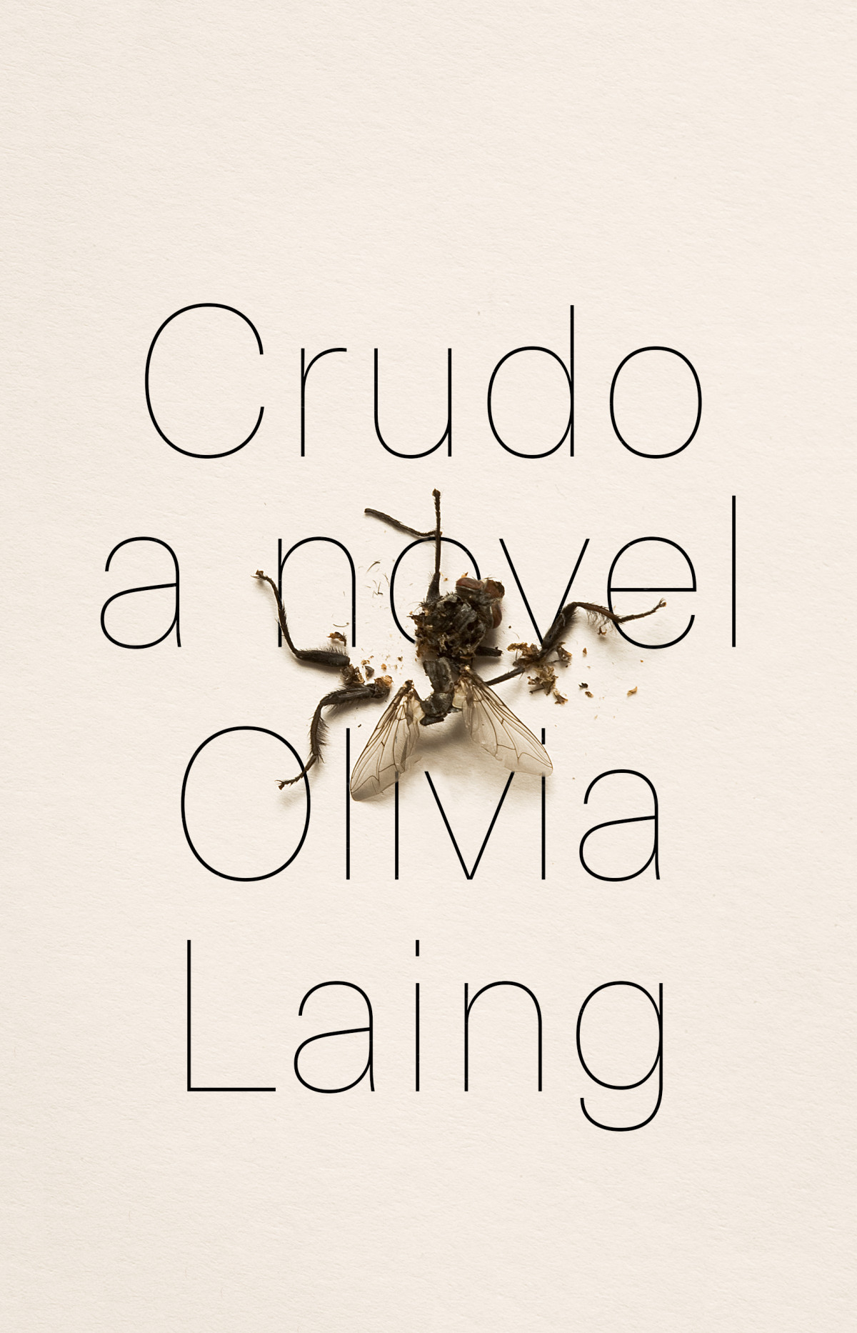 Crudo Olivia Laing