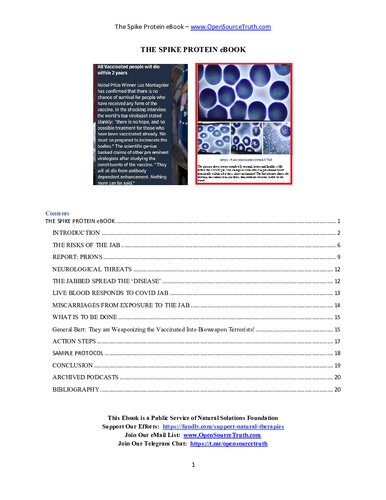 The Spike Protein Ebook 1st Edition Dr Rima Laibow