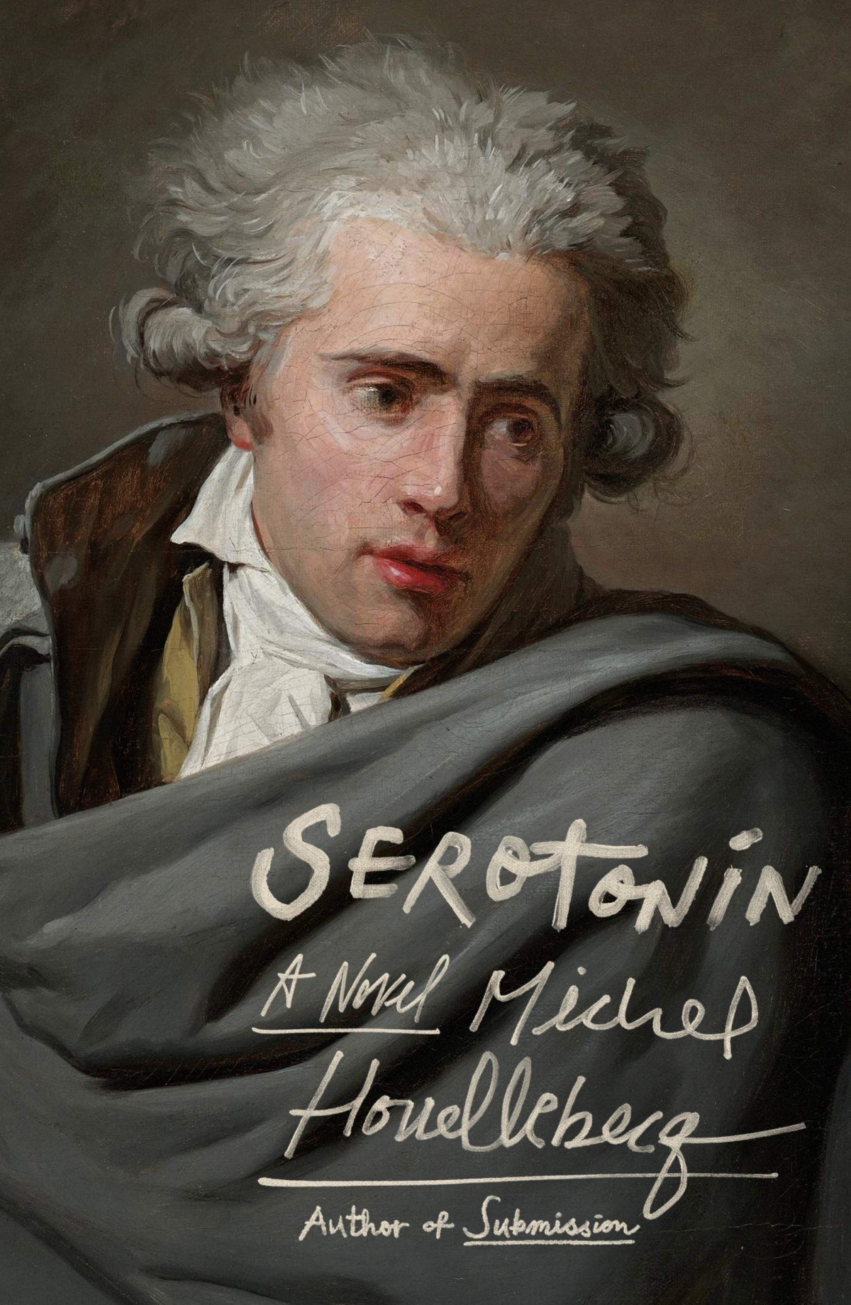 Serotonin Michel Houellebecq Shaun Whiteside