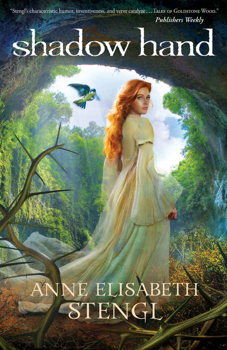 Shadow Hand Tales Of Goldstone Wood Book 6 Anne Elisabeth Stengl