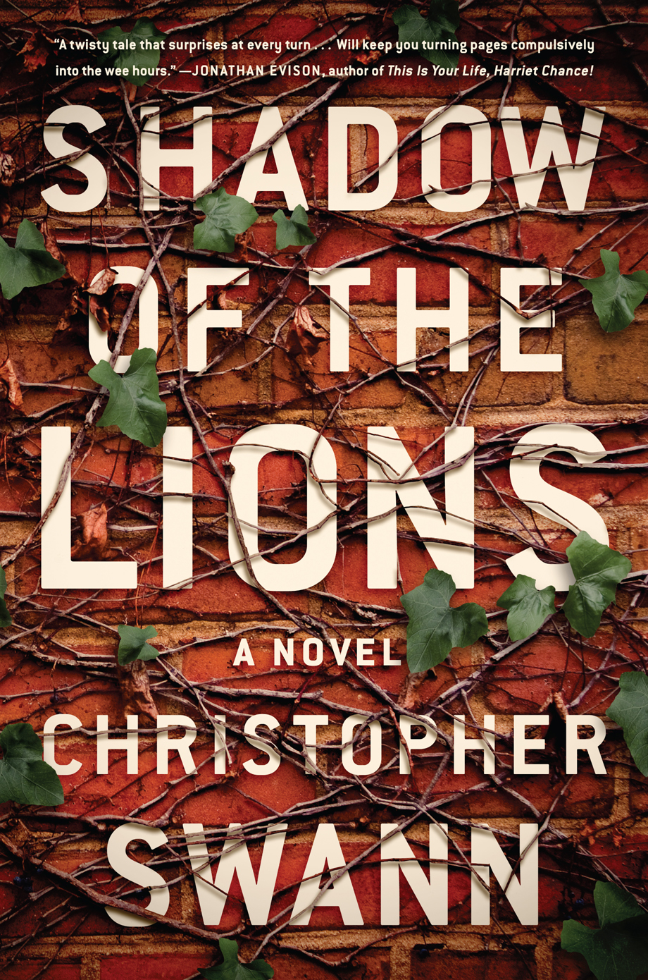 Shadow Of The Lions Christopher Swann