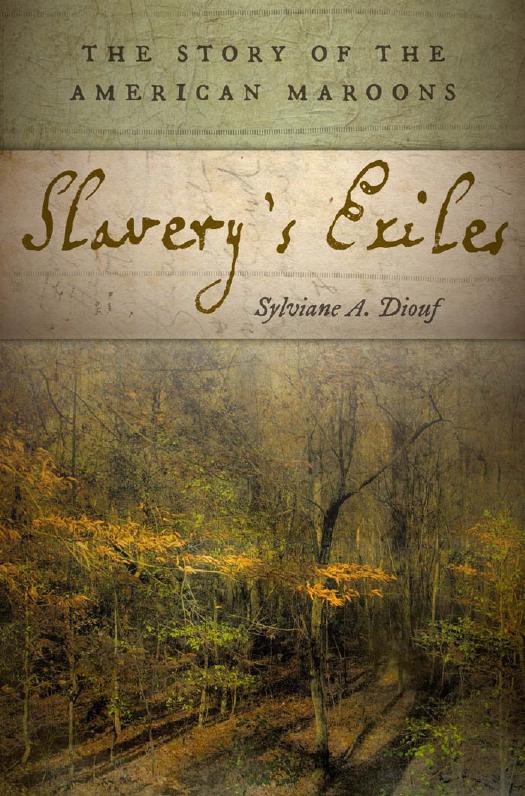 Slaverys Exiles The Story Of The American Maroons Edition Unstated Sylviane A Diouf