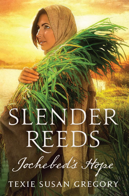 Slender Reeds Texie Susan Gregory