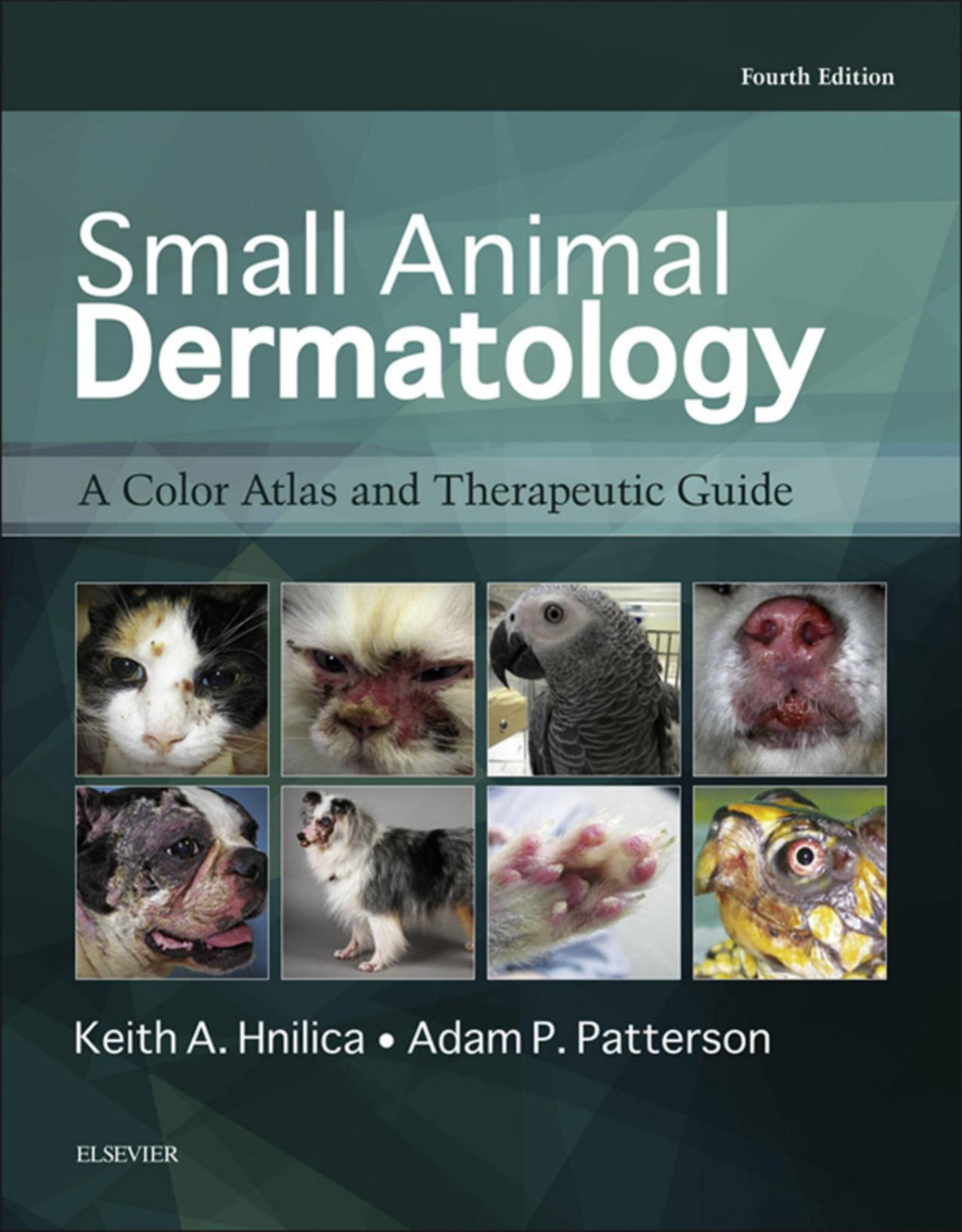 Small Animal Dermatology A Color Atlas And Therapeutic Guide Keith A Hnilica Dvm Ms Mba Dacvd Adam P Patterson Dvm Dacvd