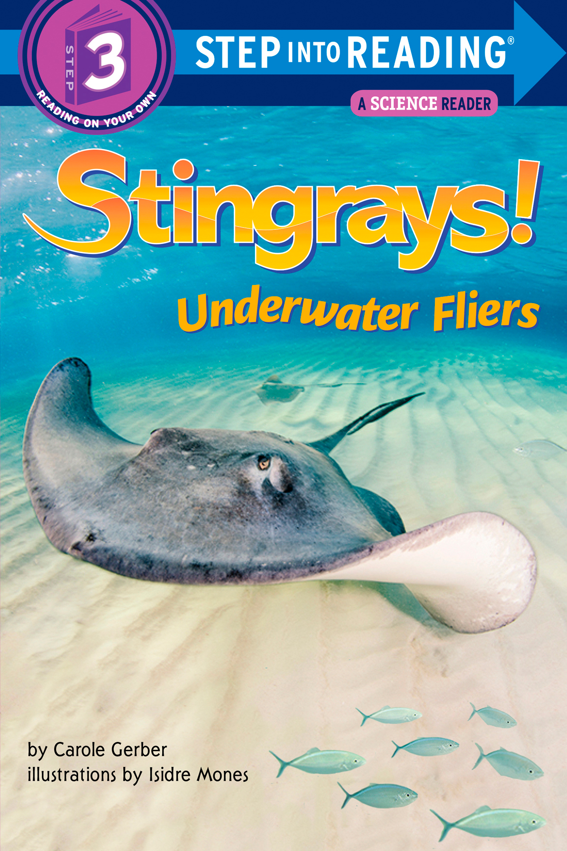 Stingrays Underwater Fliers Carole Gerber