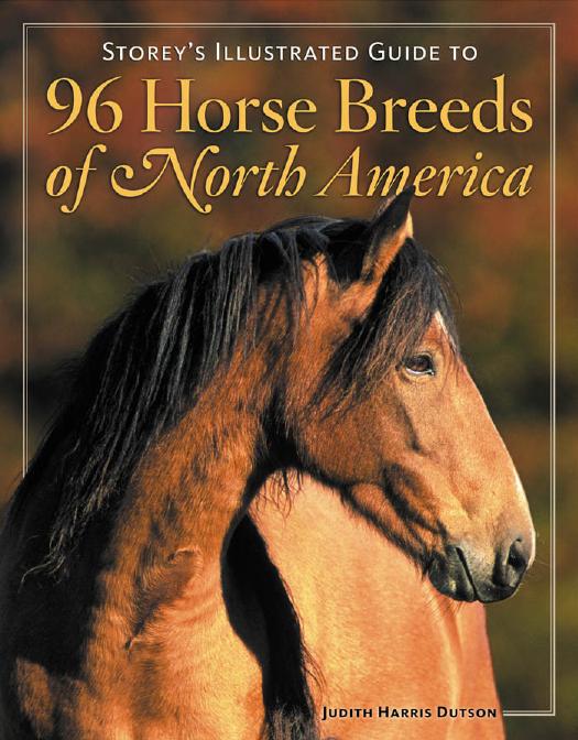 Storeys Illustrated Guide To 96 Horse Breeds Of North America Judith Harris Dutson