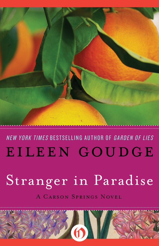 Stranger In Paradise Eileen Goudge